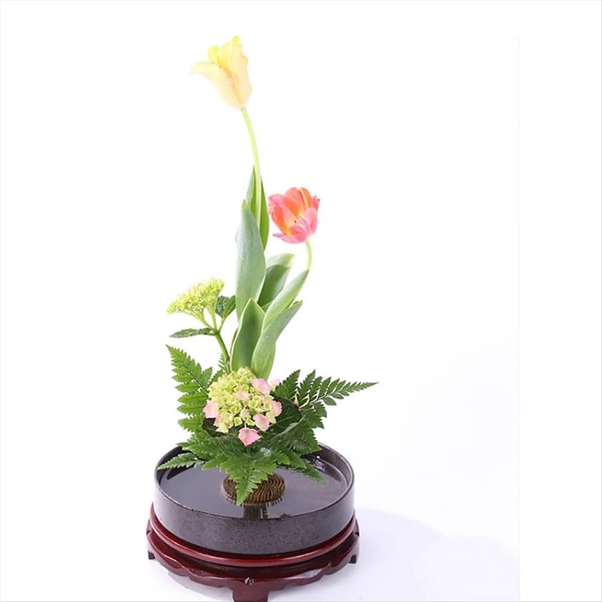 KSOL 12PCS Flower Frog, Kenzan - Flower Frog Pin recensione e prezzo