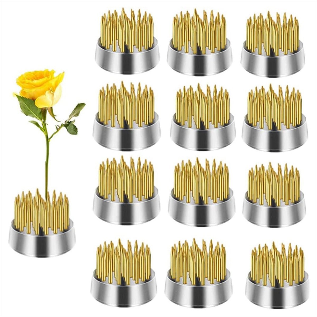 KSOL 12PCS Flower Frog, Kenzan - Flower Frog Pin recensione e prezzo