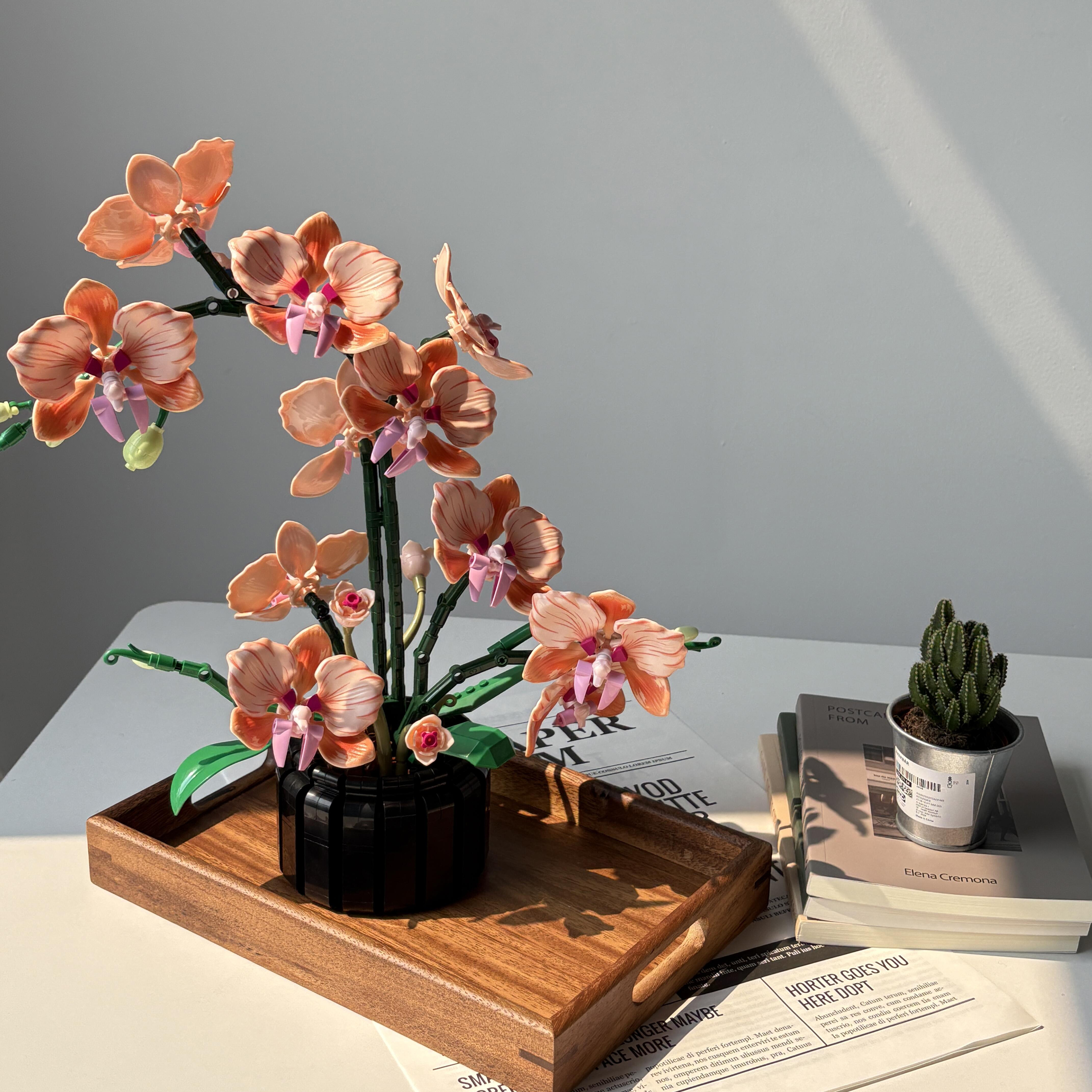 Orange Phalaenopsis Orchid Bui - Florist Supply Vases recensione e prezzo